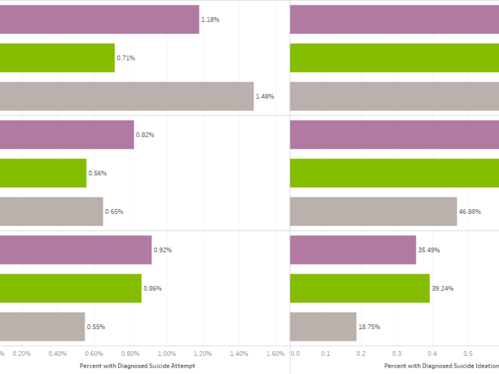 Gender and Suicide Risk in Behavioral Health Inpatients: Who Is Most at Risk?